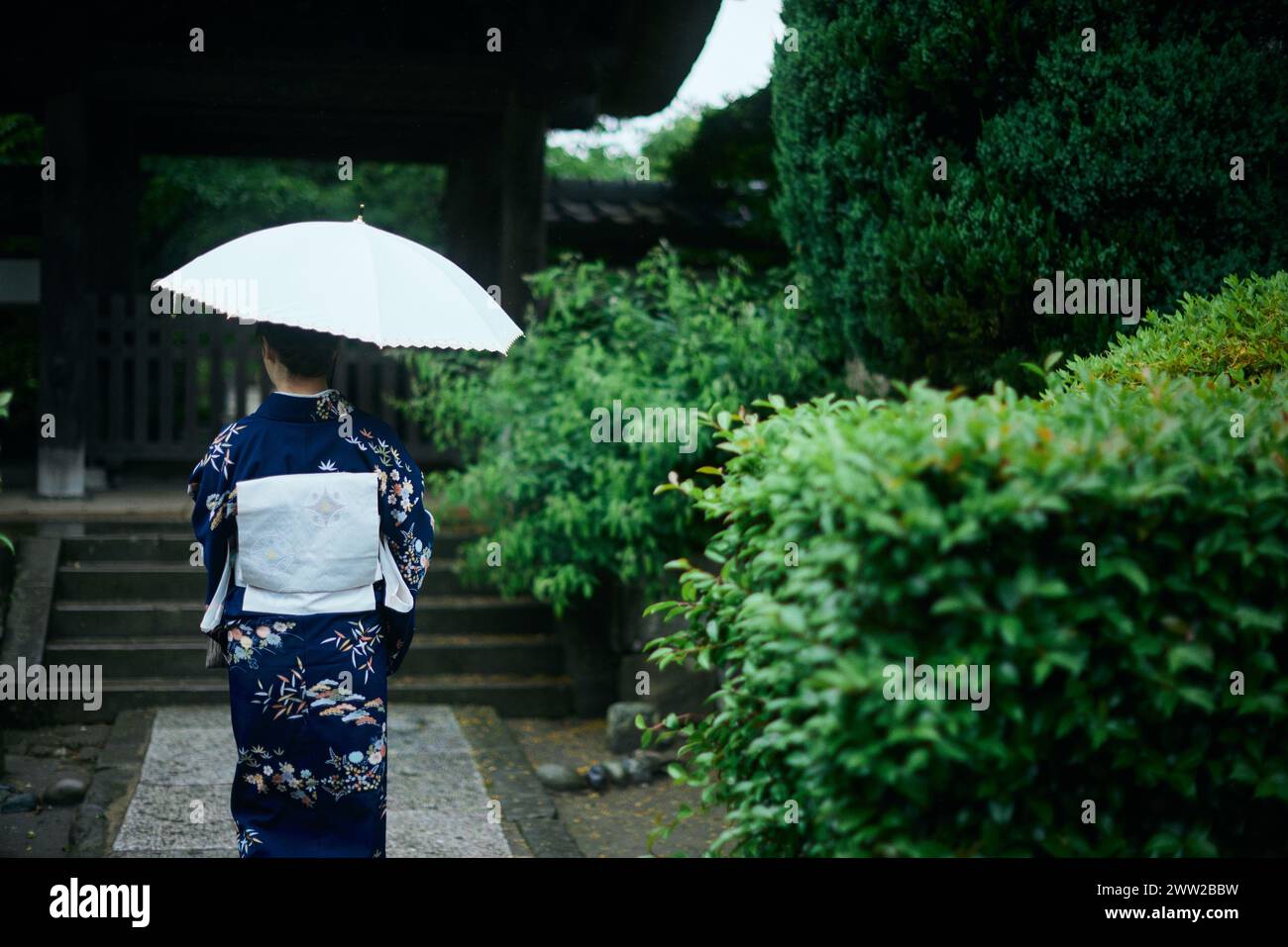 Una donna in un kimono che cammina lungo un sentiero con un ombrello Foto Stock