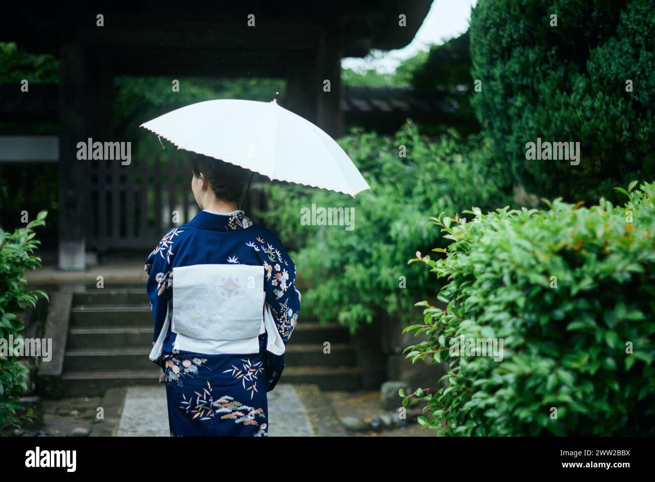 Una donna in kimono che cammina con un ombrello Foto Stock