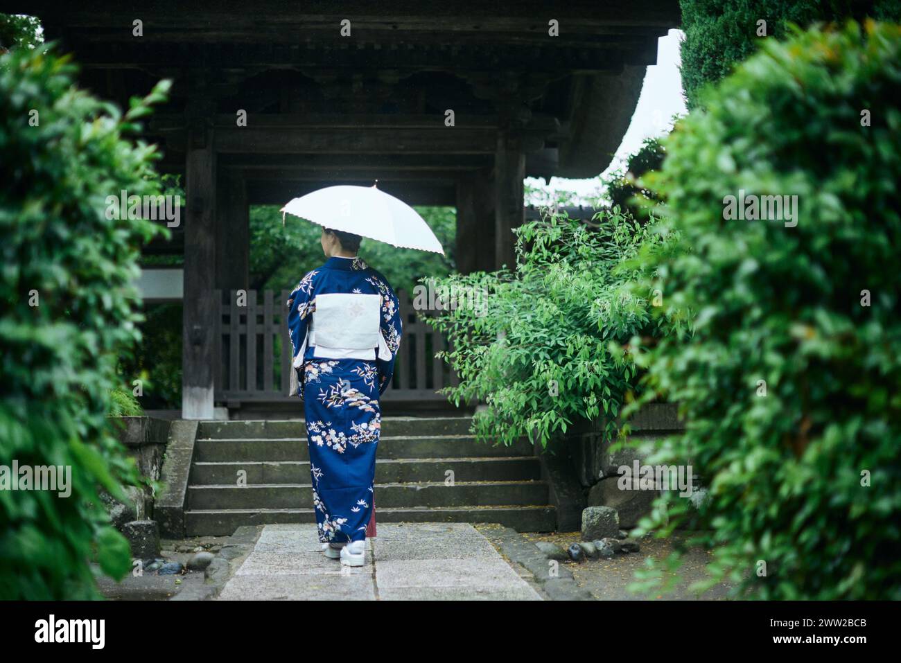 Una donna in kimono che cammina lungo un sentiero con un ombrello Foto Stock