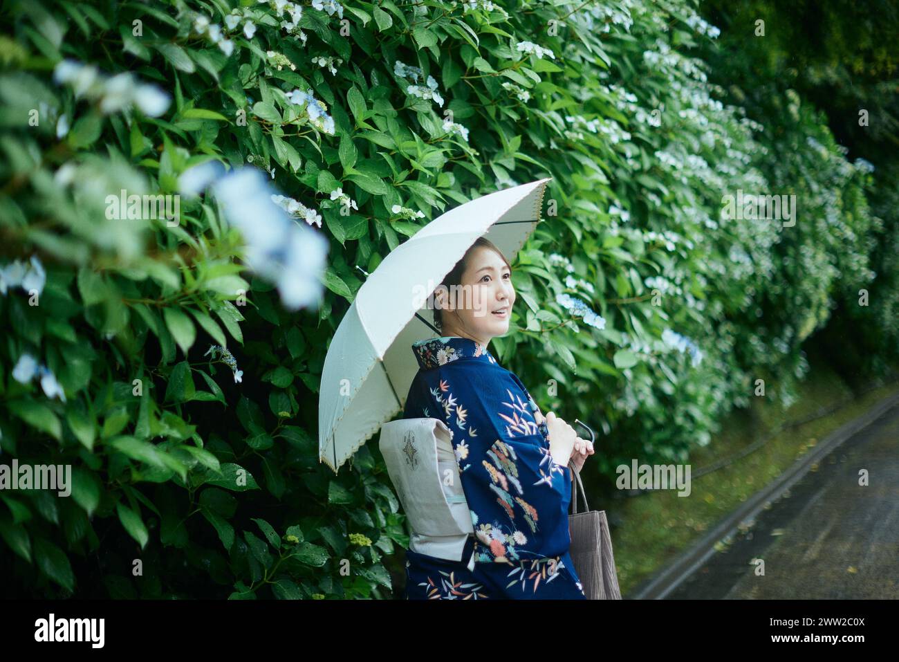 Una donna in un kimono con un ombrello Foto Stock