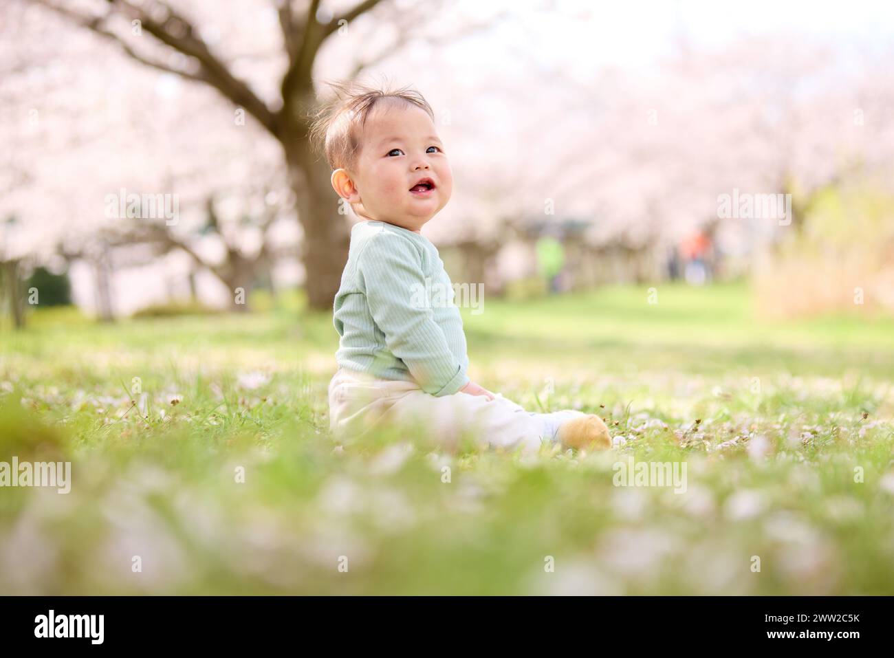 Un bambino seduto nell'erba con fiori sullo sfondo Foto Stock