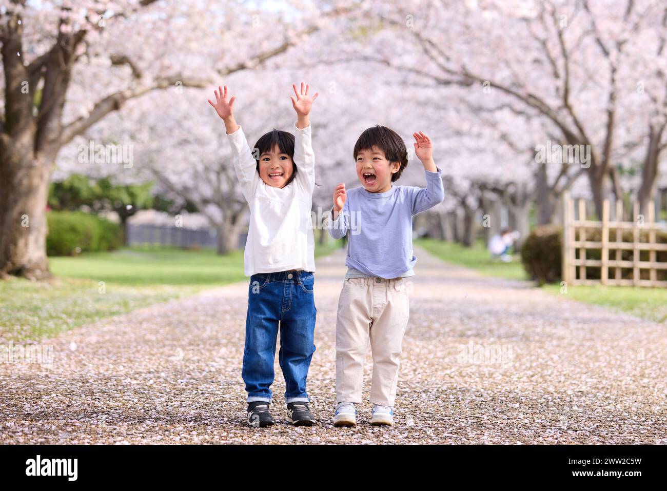 Due ragazzi in piedi davanti a un albero con le mani in alto Foto Stock