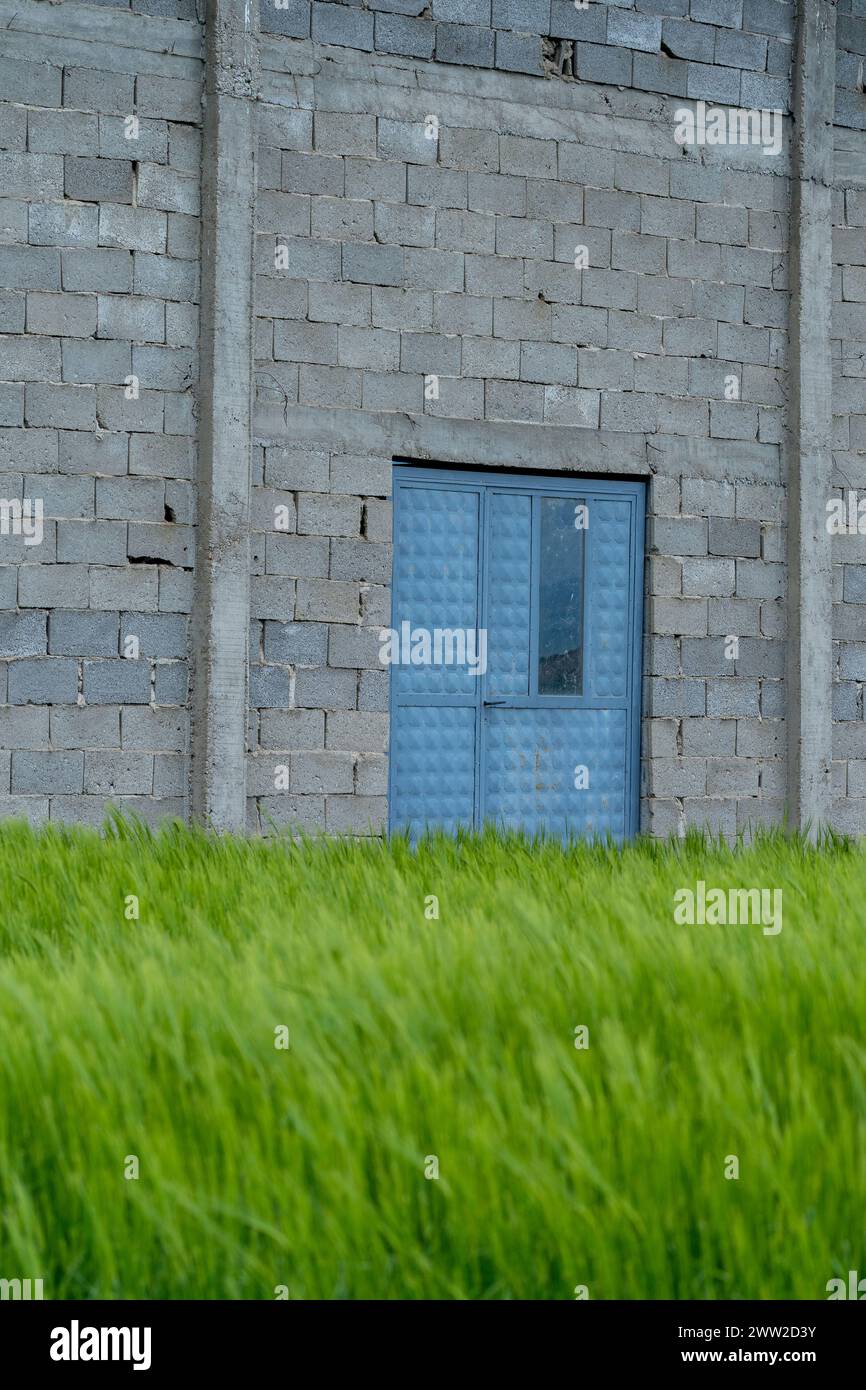 Vecchia architettura fienile. Porta d'ingresso in metallo blu con ambiente naturale. Vita agricola. Foto Stock