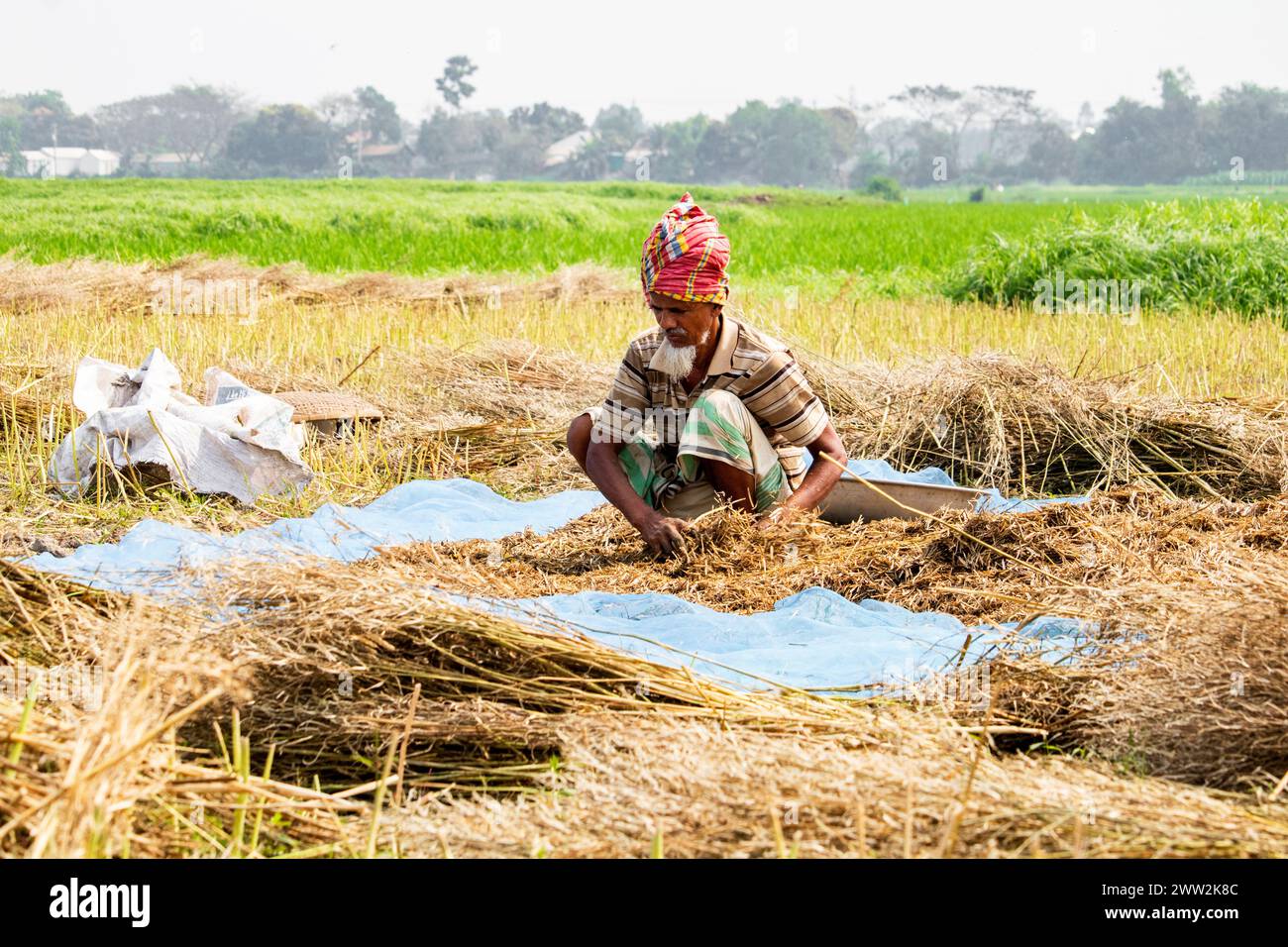 Bancharampur-Bangladesh-febbraio 26- 2023- popolazione quotidiana del villaggio, la vita rurale del villaggio locale in Bangladesh. Foto Stock