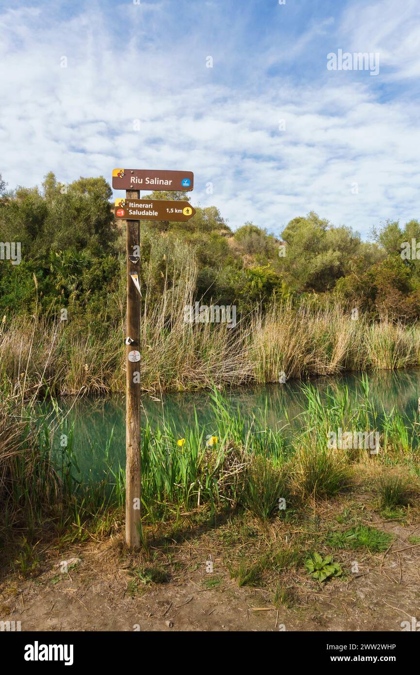 Parco naturale Marjal de Pego-oliva Wetland, Valencia Foto Stock