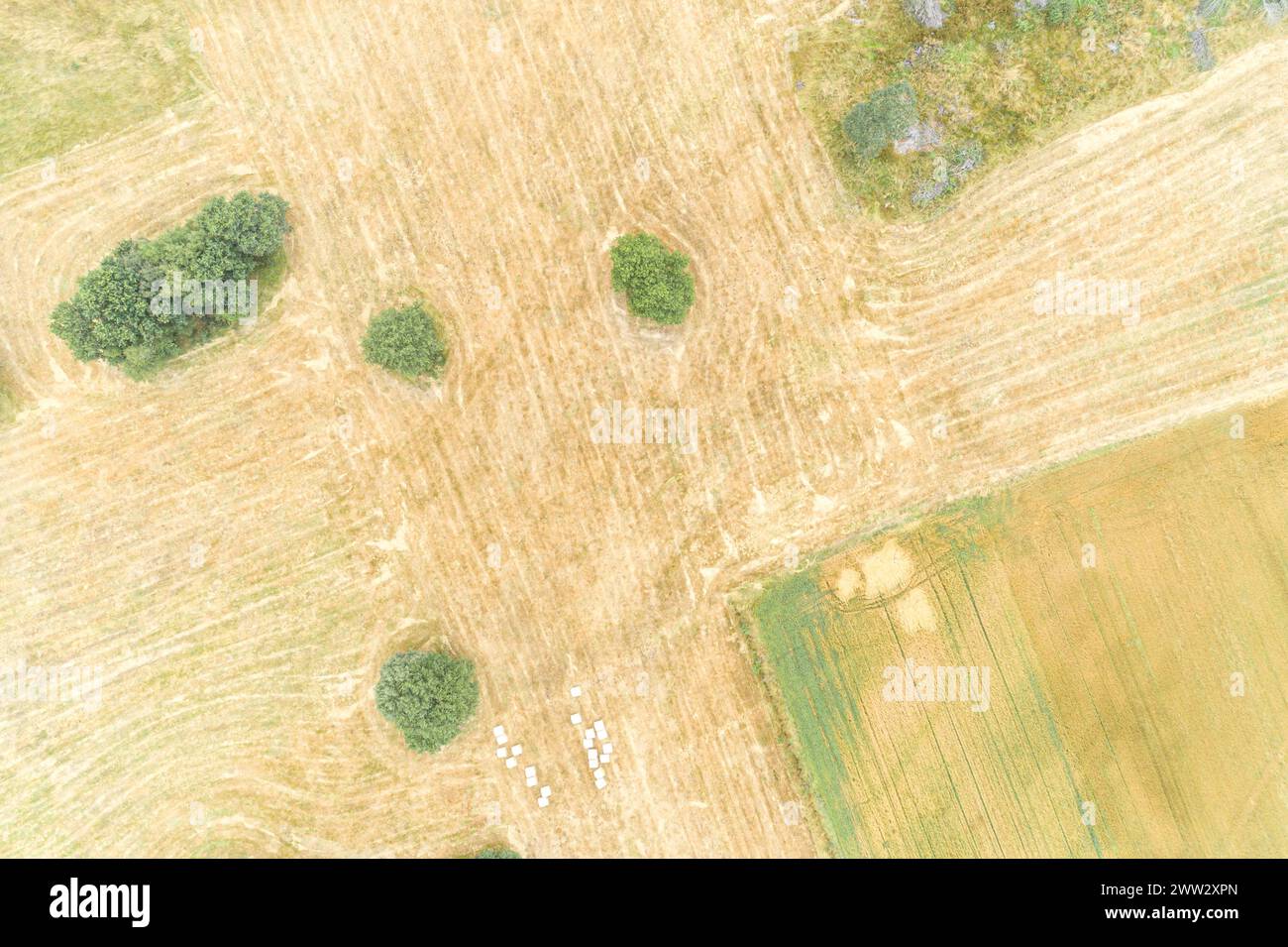 vista aerea aerea aerea dei campi agricoli in estate, paesaggio rurale Foto Stock