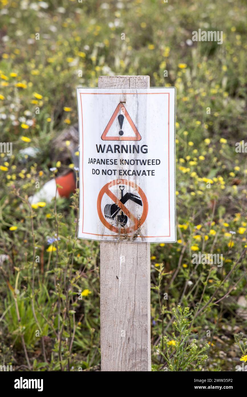 Segnale di avvertimento del knotweed giapponese sepolto in terre desolate come sito inquinato con restrizioni, Barry, Galles, Regno Unito Foto Stock