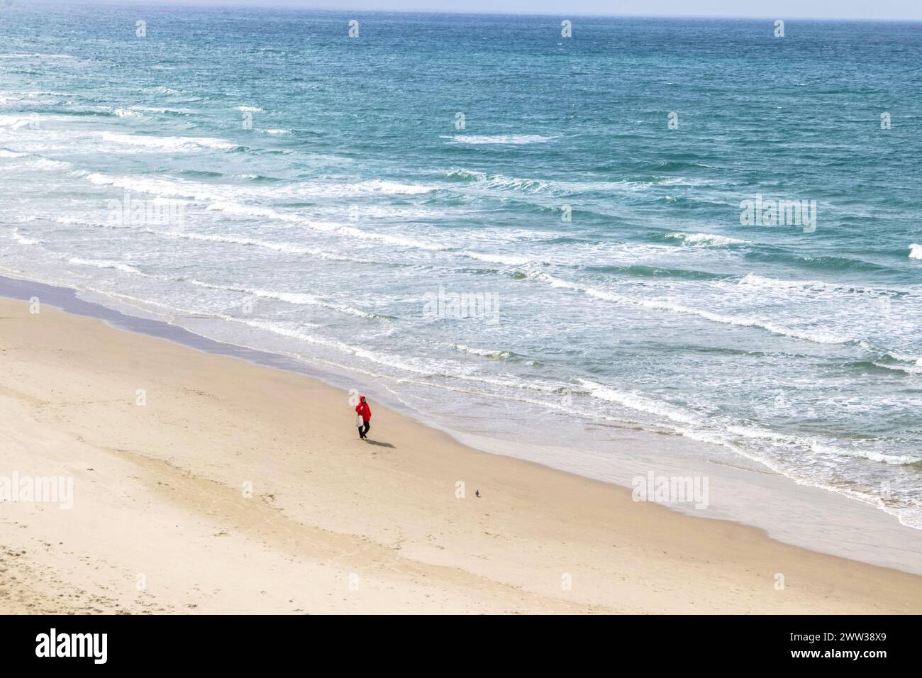 L'uomo cammina sulla Sandy Shore Foto Stock