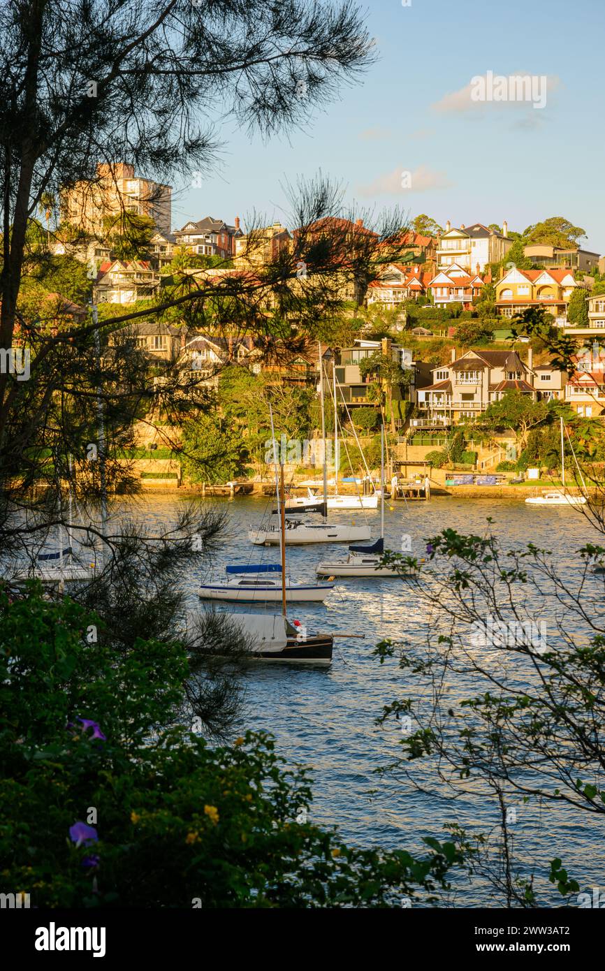 Barche da diporto ormeggiate a Mosman Bay in una serata soleggiata, porto di Sydney, Australia Foto Stock