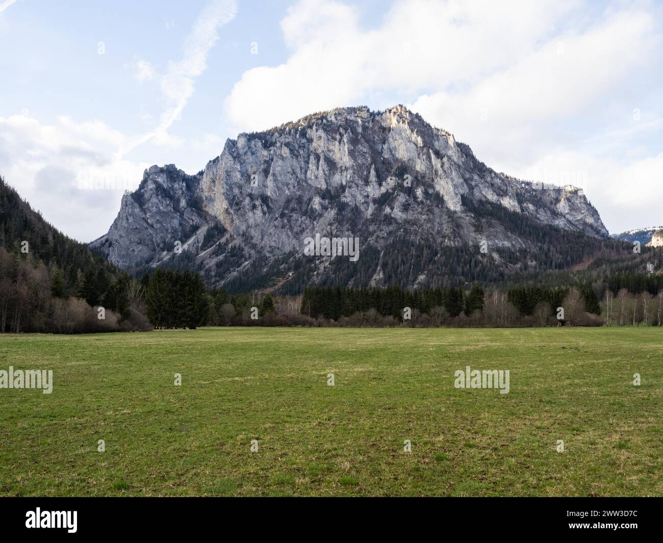 Panorama montano, monte Pribitz, Oberort, comune di Tragoess-St Katharein, Stiria, Austria Foto Stock