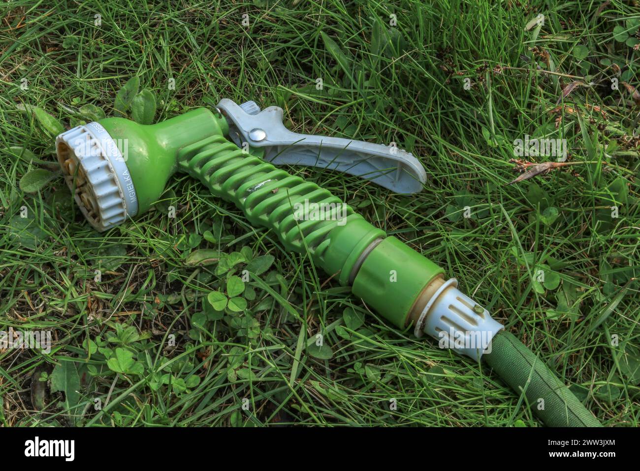 Una pistola verde per innaffiare le piante in giardino con un tubo Foto Stock