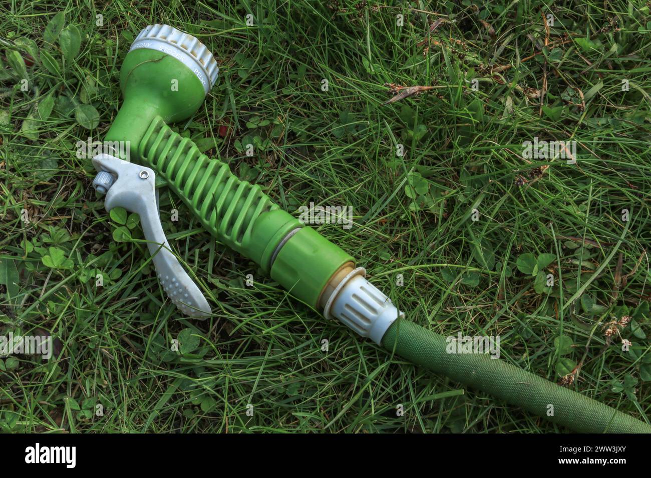 Una pistola verde per innaffiare le piante in giardino con un tubo Foto Stock