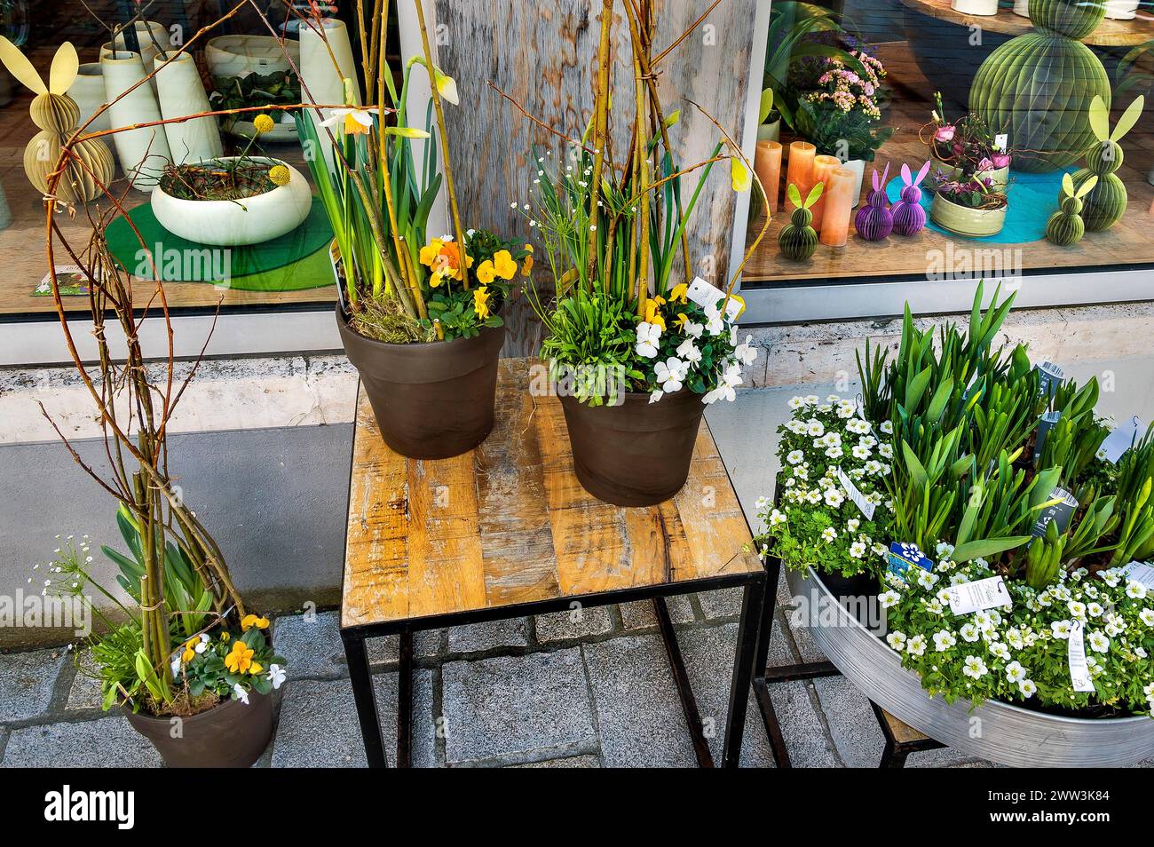Risveglio primaverile, negozio di fiori con decorazioni pasquali, Kempten, Allgaeu, Baviera, Germania Foto Stock