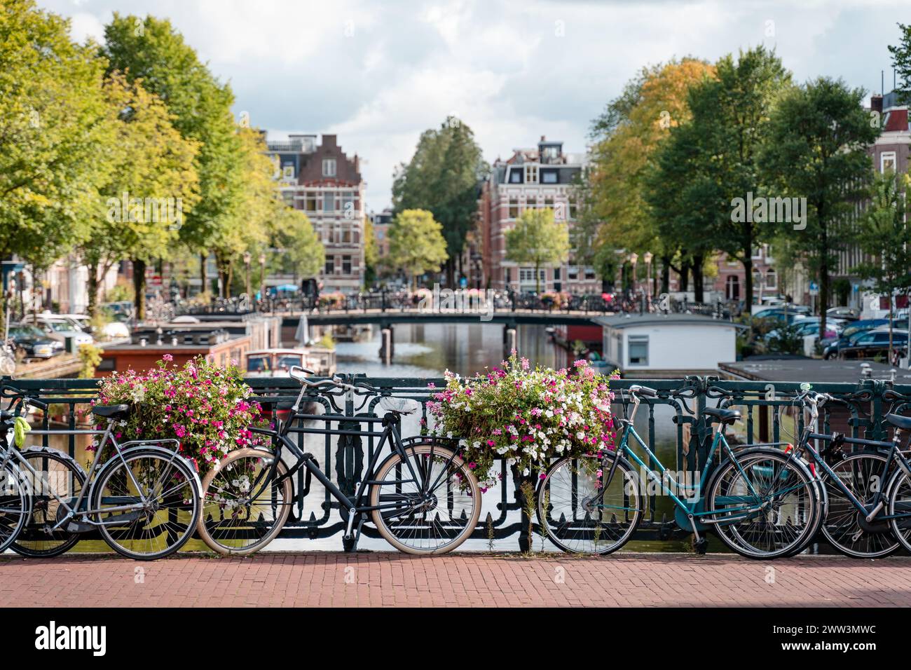 Fioritura e biciclette: Un'incantevole giornata sui canali di Amsterdam Foto Stock