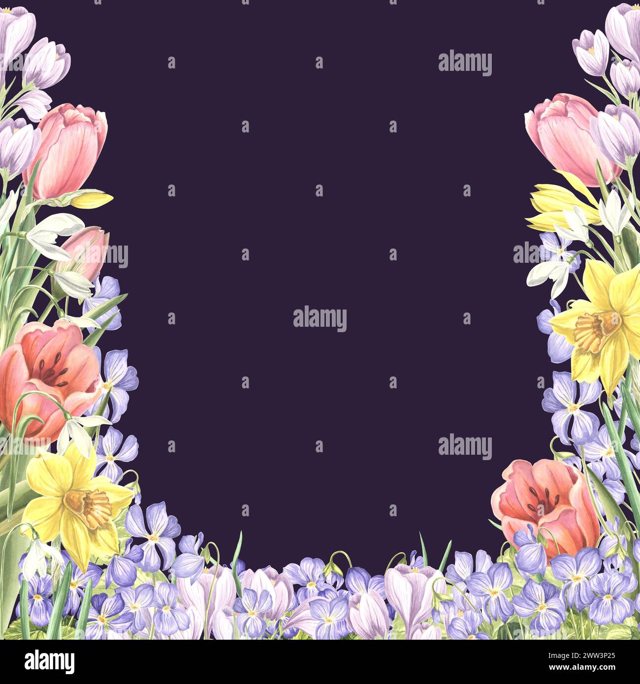 Cornice quadrata di fiori primaverili. Illustrazione isolata ad acquerello disegnata a mano di tulipani, narcisi, croci, violette selvatiche. Cartolina floreale. Modello Foto Stock