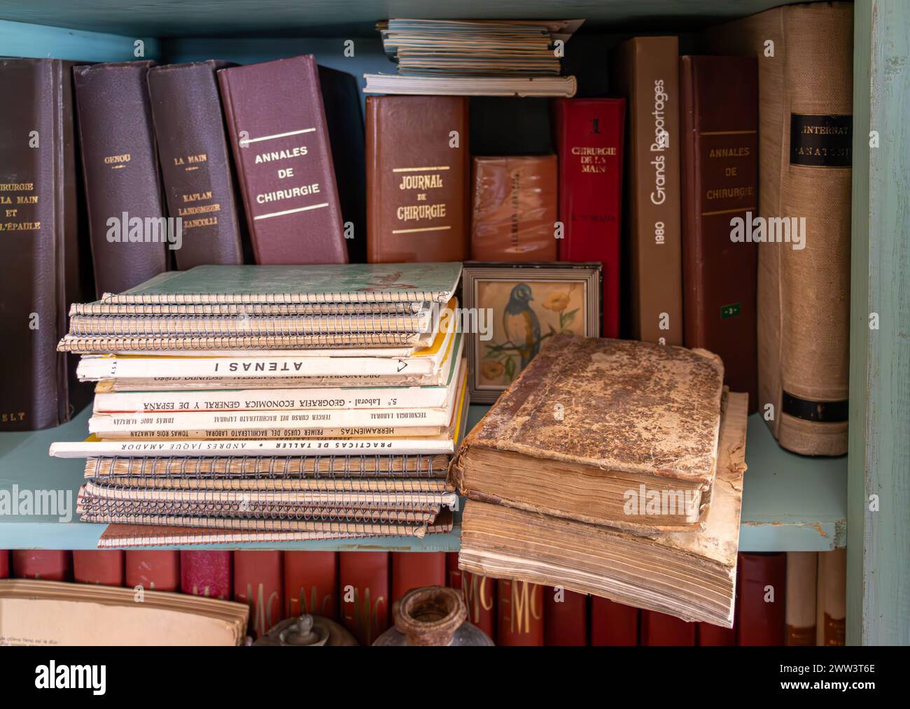 vecchi libri di medicina quercia su uno scaffale Foto Stock