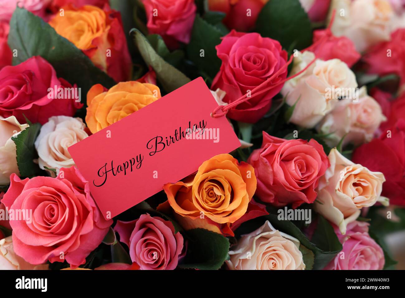 Bouquet di splendide rose con tessera Happy Birthday, primo piano Foto Stock