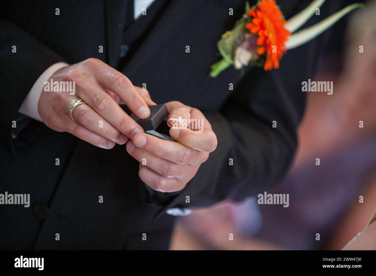 Un momento dettagliato durante una cerimonia nuziale in cui una coppia si scambia anelli, simboleggiando il loro impegno. Le mani dello sposo stanno tenendo con cura una scatola anello mentre si prepara a mettere la band sul dito del suo partner, con un boutonniere che adorna il suo risvolto. Scambio di bande nuziali, Un gesto simbolico d'amore. Foto di alta qualità Foto Stock