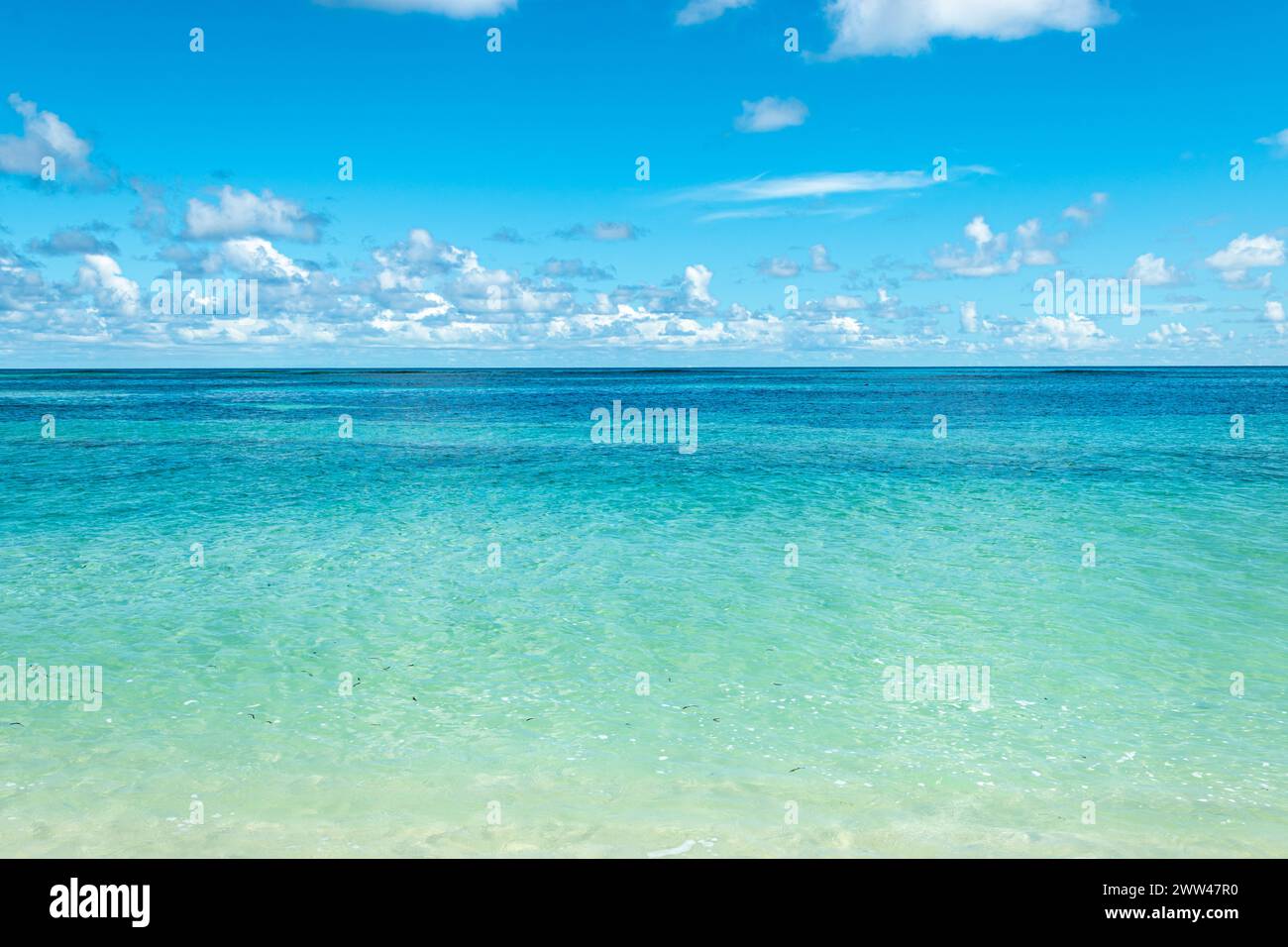 Acque tropicali turchesi e cristalline, Seychelles. Foto Stock