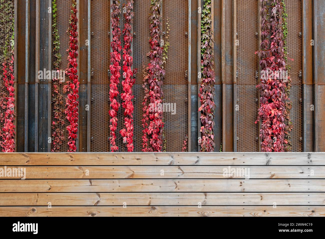 Edificio moderno con pareti in metallo arrugginito, dettagli in legno e piante di edera in crescita Foto Stock