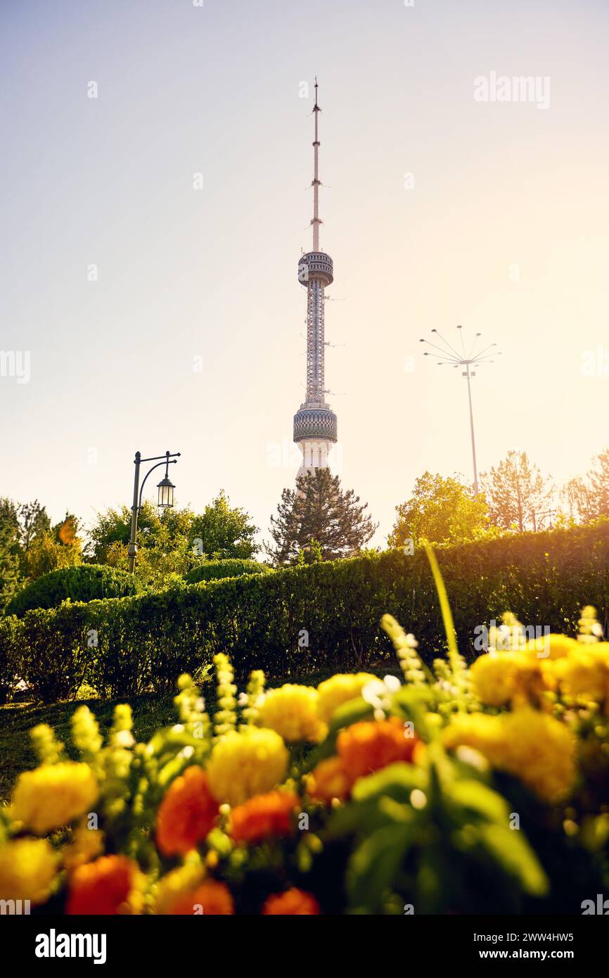 Tashkent TV Tower Toshkent Teleminorasi e fiori nel parco al tramonto in Uzbekistan Foto Stock