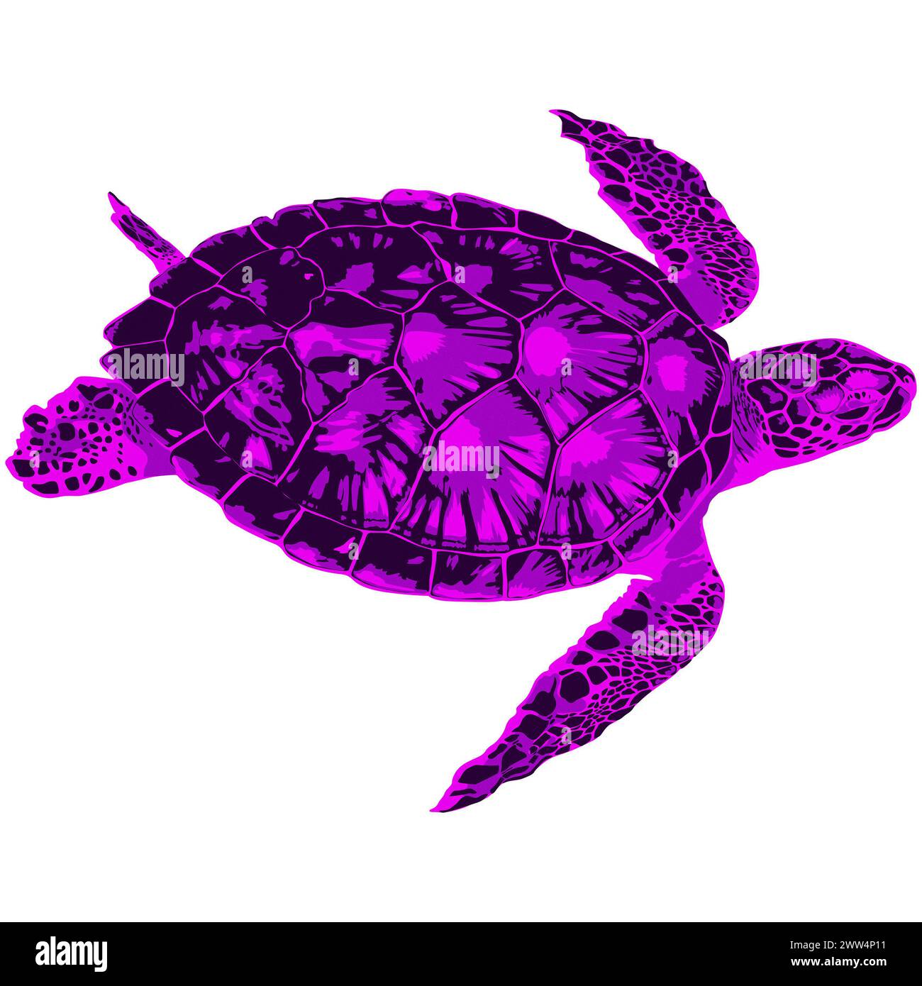 Concetto di animale creativo - illustrazione artistica di una grande tartaruga marina nuotata - Ilustración Artística de una gran tortuga marina nadando Foto Stock