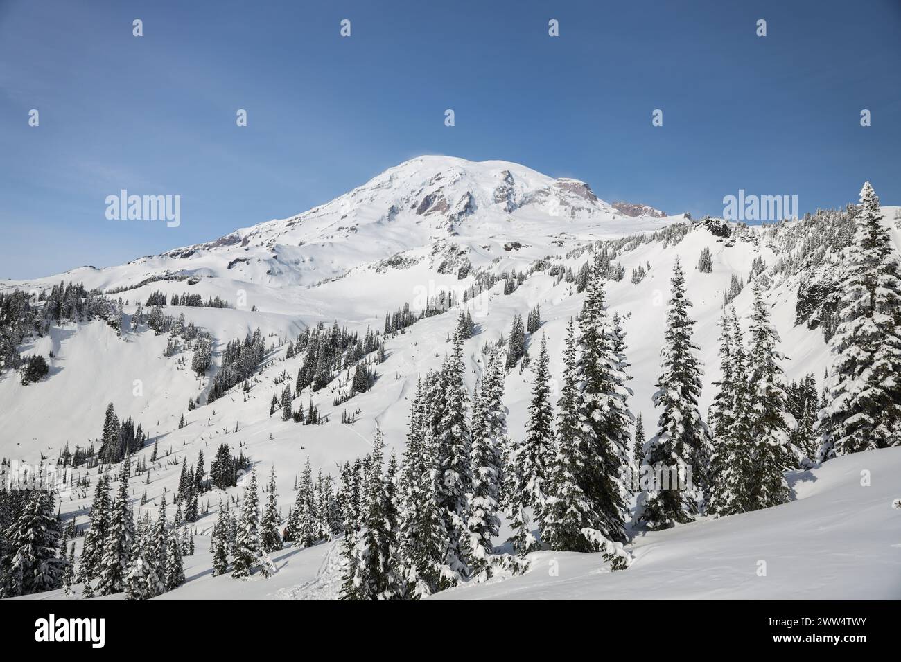 MT. Rainier in un giorno di sole Foto Stock