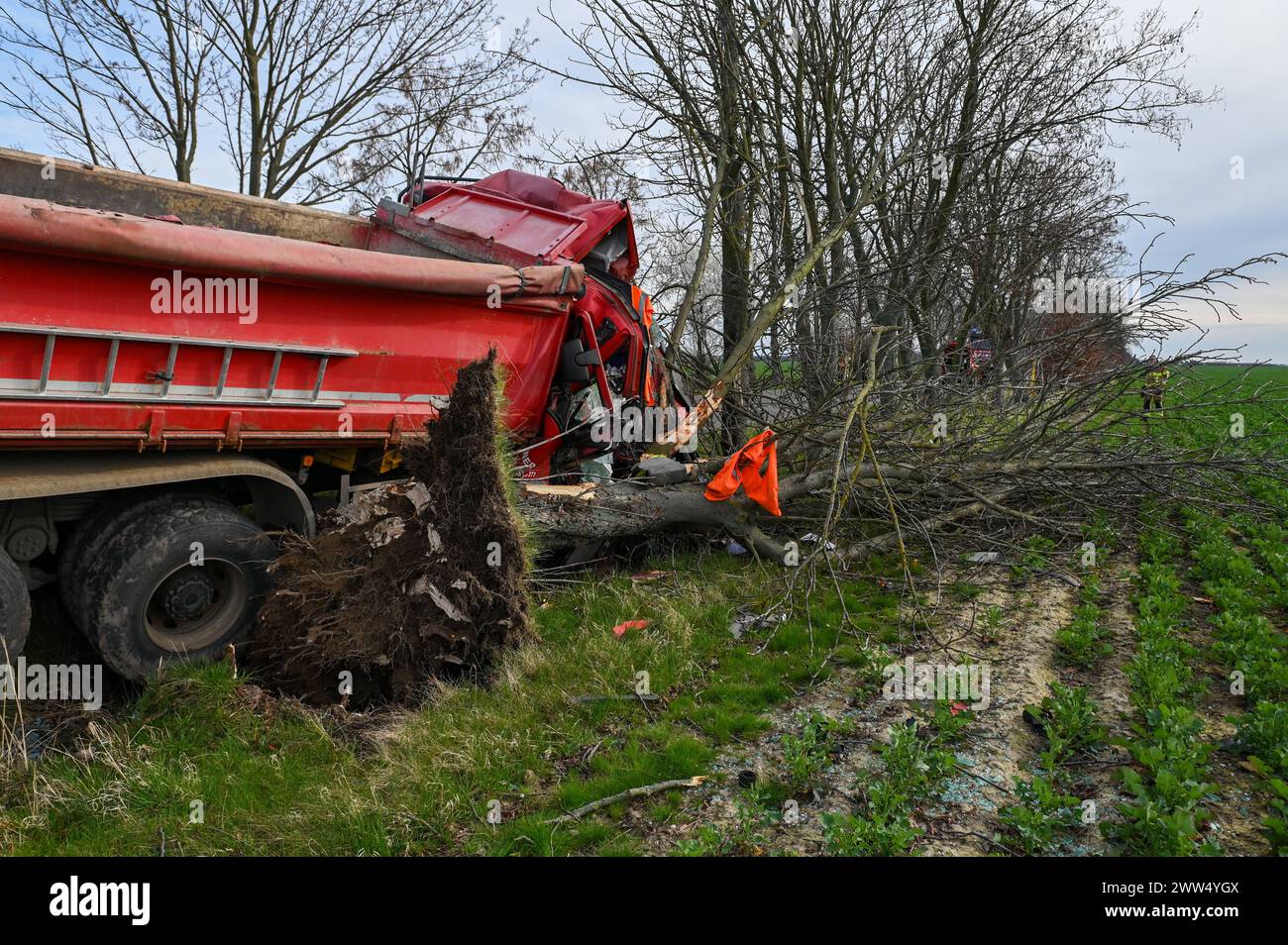 Lipsia - LKW kommt von Straße ab und kracht in Baum: Eingeklemmter Fahrer muss von Feuerwehr befreit werden - schwer verletzt 18.03.2024 gegen 14,30 Uhr Leipzig-Liebertwolkwitz, Güldengossaer Straße Zu einem schweren Unfall kam es am Montagnachmittag gegen 14,30 Uhr in Markkleeberg. Nach ersten Angaben der Polizei War der Fahrer eines Lastwagens mit Anhänger auf der Güldengossaer Straße von Liebertwolkwitz kommend in Richtung Güldengossa unterwegs, als er aus bislang ungeklärter Ursache nach rechts von der Fahrbahn abkam und schwer mit einem Baum am Straßenrand kollidiert ist. Der LKW fällte Foto Stock