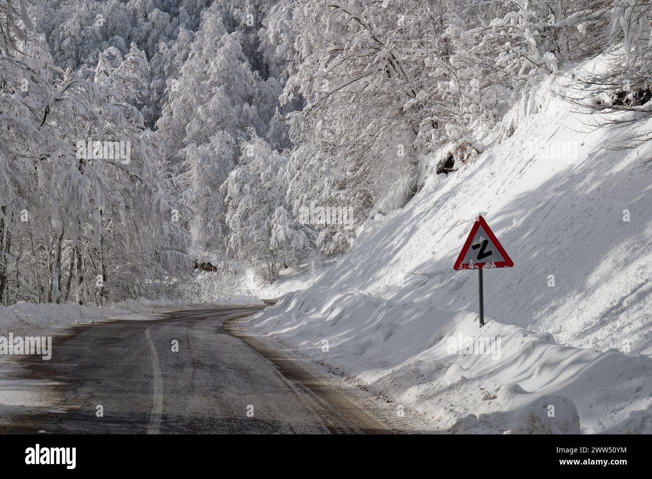 Guida d'inverno. Foresta e alberi pieni di neve. Guida attenta in condizioni invernali Foto Stock