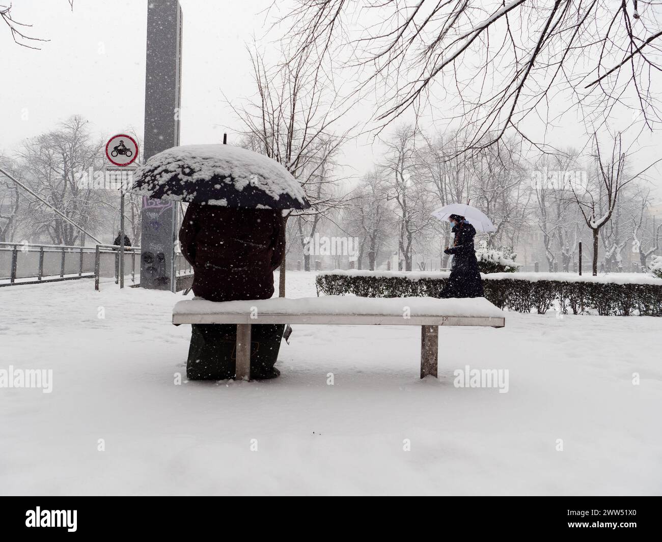 Forte nevicata in città. Gente che cammina per le strade. Alberi e rami ricoperti di bianco. Inverno in città. Foto Stock