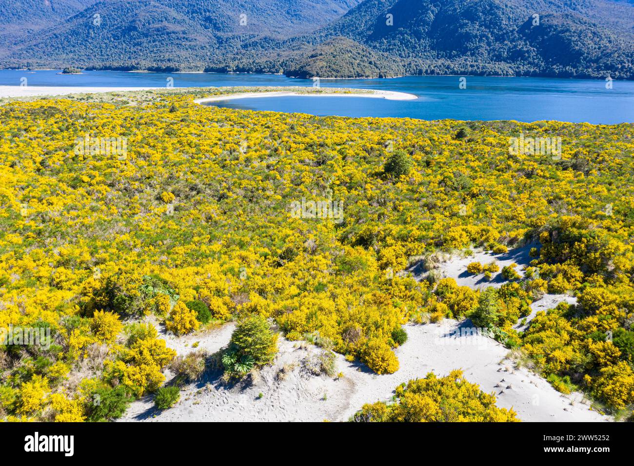 Vista aerea della penisola alla foce del Rio Rodriguez, spiaggia sabbiosa parzialmente coperta da vegetazione, Raul Marin Balmaceda, Patagonia, Cile Foto Stock