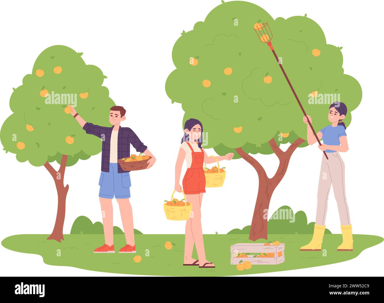 Lavoratori agricoli che raccolgono mele dagli alberi. Giardino di frutta isolato su sfondo bianco Illustrazione Vettoriale