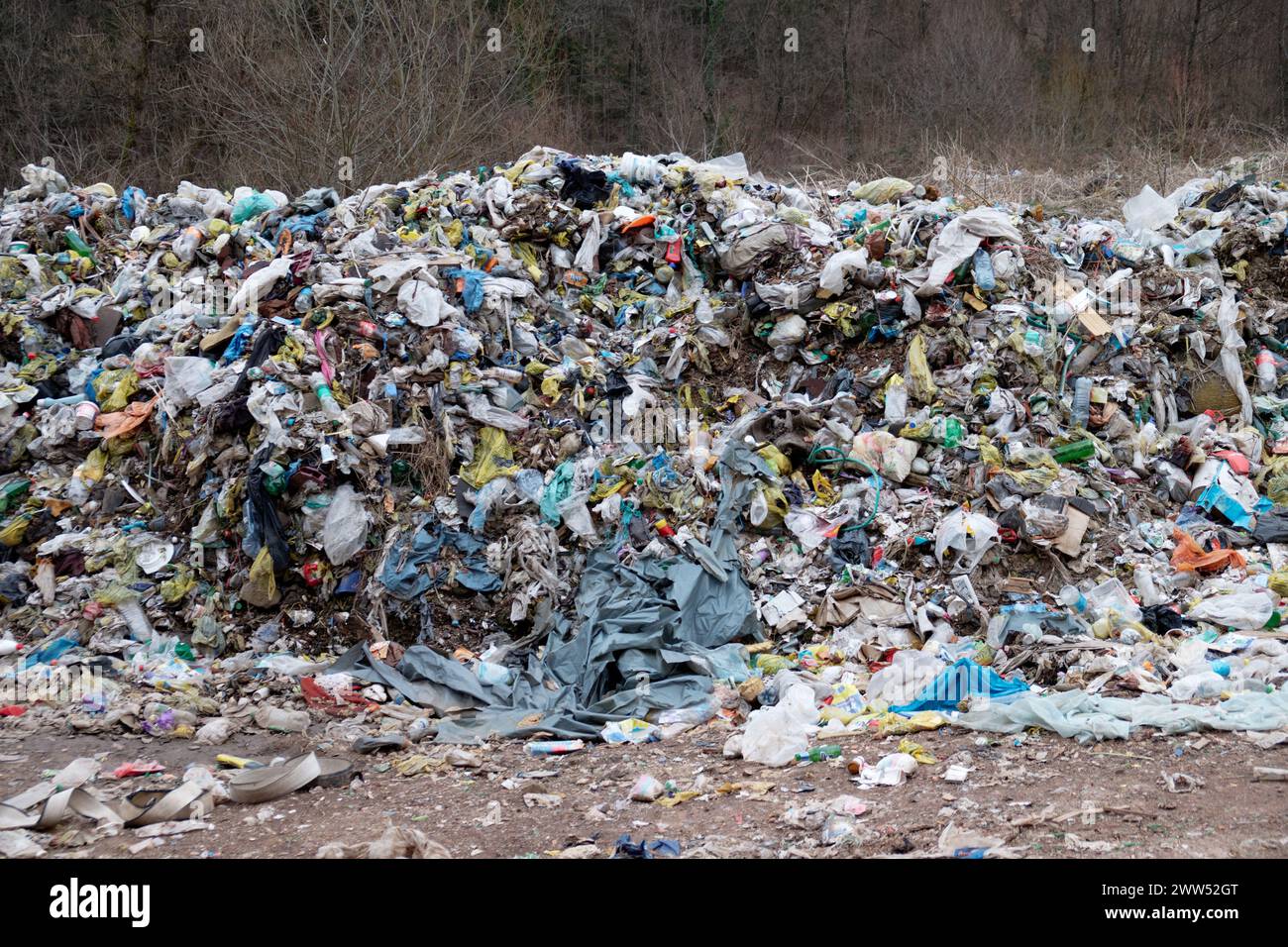 Discarica di rifiuti in natura. Rifiuti di plastica. Problema ambientale. Foto Stock