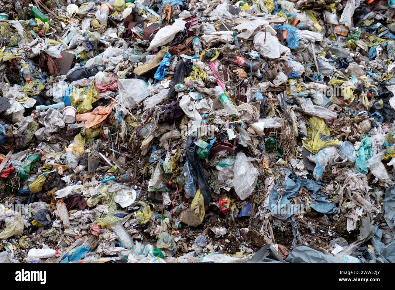 Discarica di rifiuti in natura. Rifiuti di plastica. Problema ambientale. Foto Stock