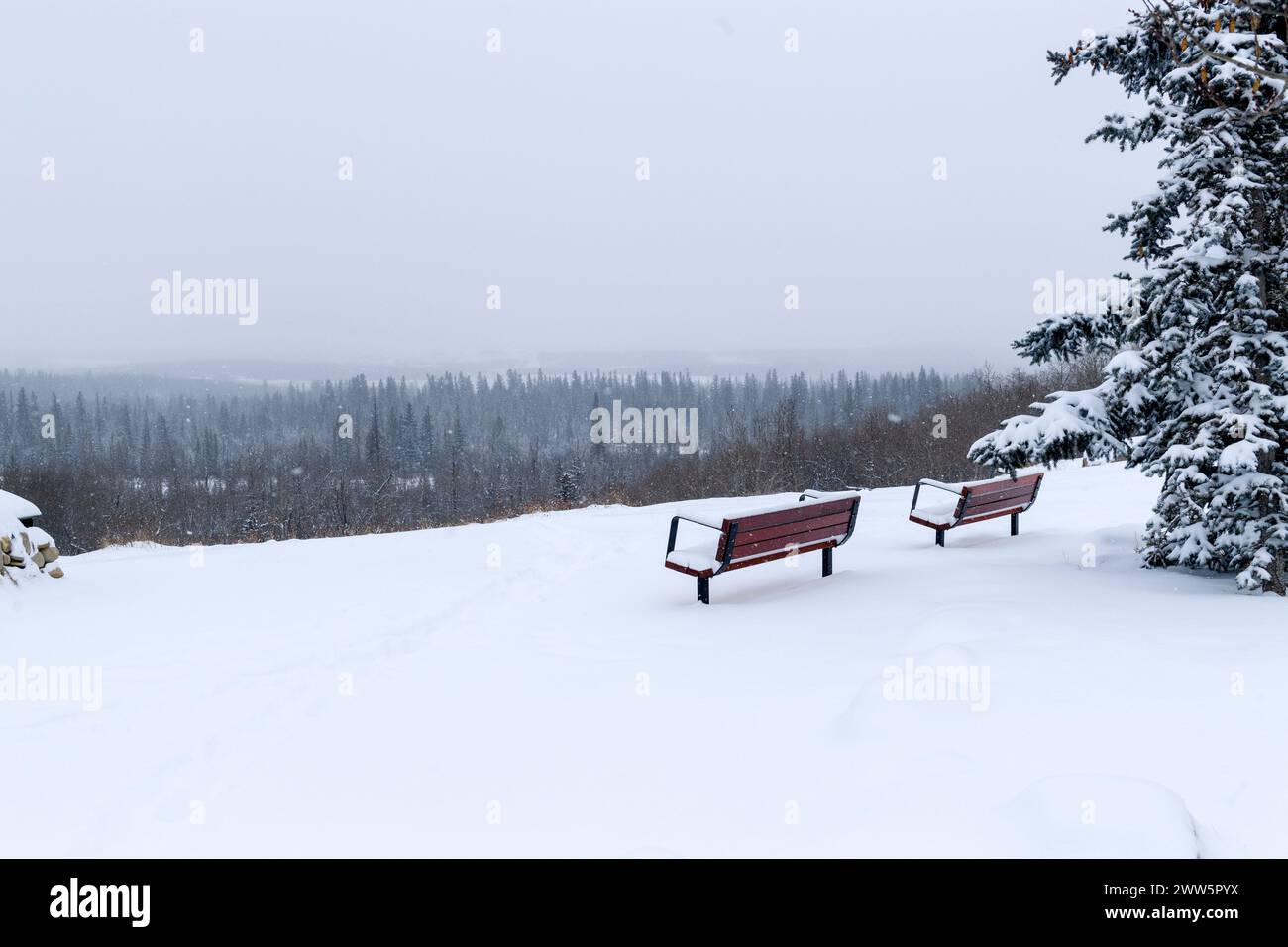 Parco panchine in un paesaggio invernale, Glenmore Reservoir Park, Calgary, Alberta Canada Foto Stock