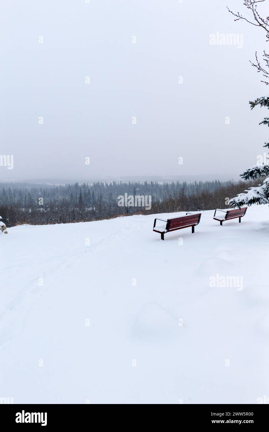 Parco panchine in un paesaggio invernale, Glenmore Reservoir Park, Calgary, Alberta Canada Foto Stock