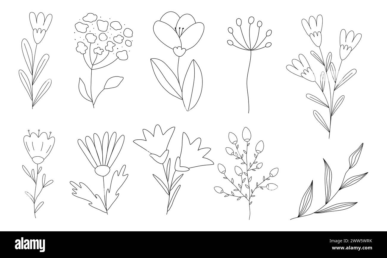 Set di fiori e rami diversi, disegno vettoriale piatto in stile doodle per libri da colorare per bambini Illustrazione Vettoriale