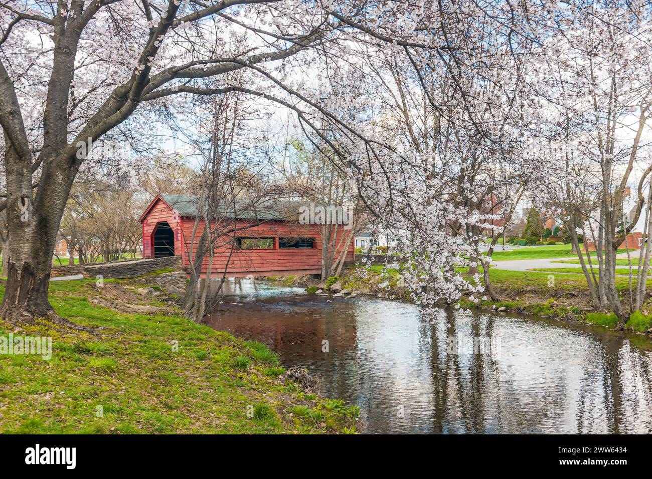 Ponte coperto di Carroll Creek circondato dai ciliegi in fiore nel Baker Park. Frederick. Maryland Foto Stock