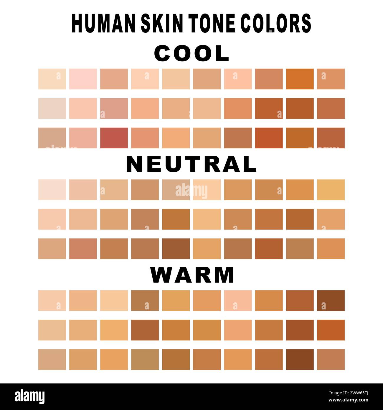 Tavolozza colori della collezione, tonalità della pelle. Illustrazione vettoriale piatta. infografiche sul colore della pelle. tono della pelle, icona vettoriale Illustrazione Vettoriale