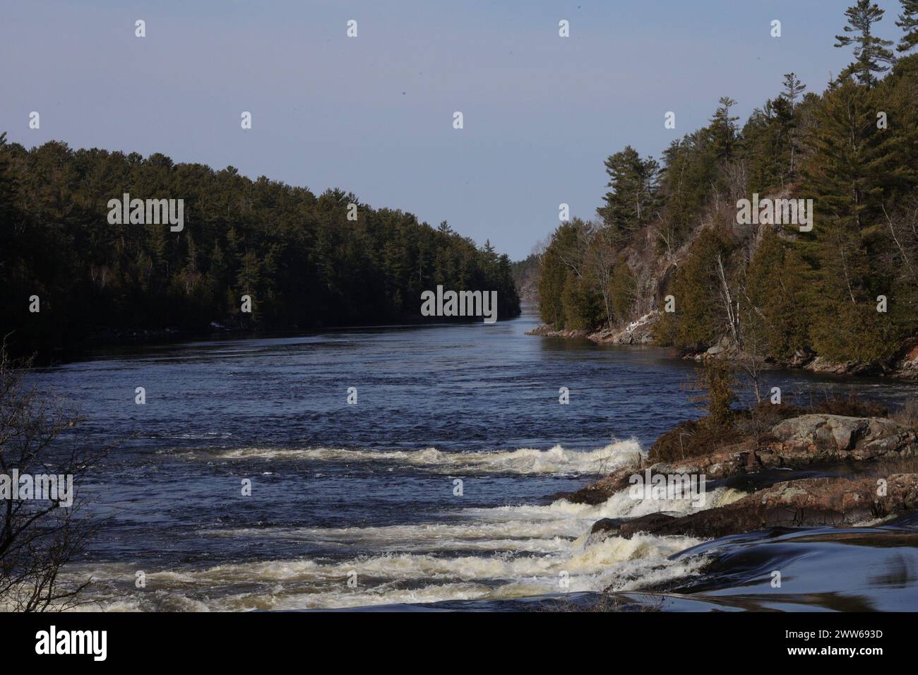 Un'immagine delle rapide lungo il fiume French vista dal lato sud lungo il Recollet Trail a French River, Ontario. Foto Stock