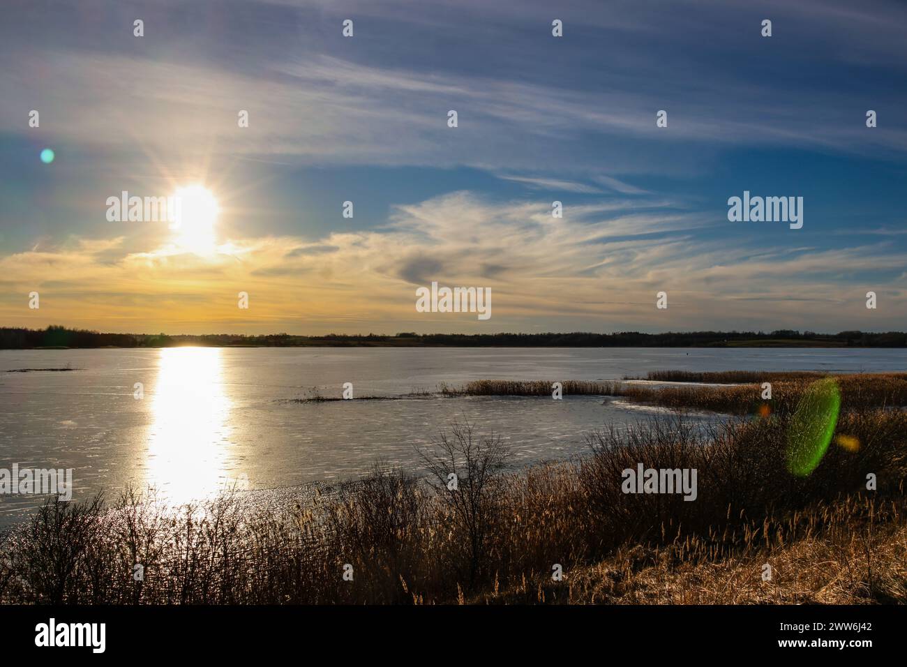 Calmo tramonto serale invernale vicino alla riva di un lago ghiacciato con cespugli, prati, riflessi e un bel cielo sullo sfondo Foto Stock