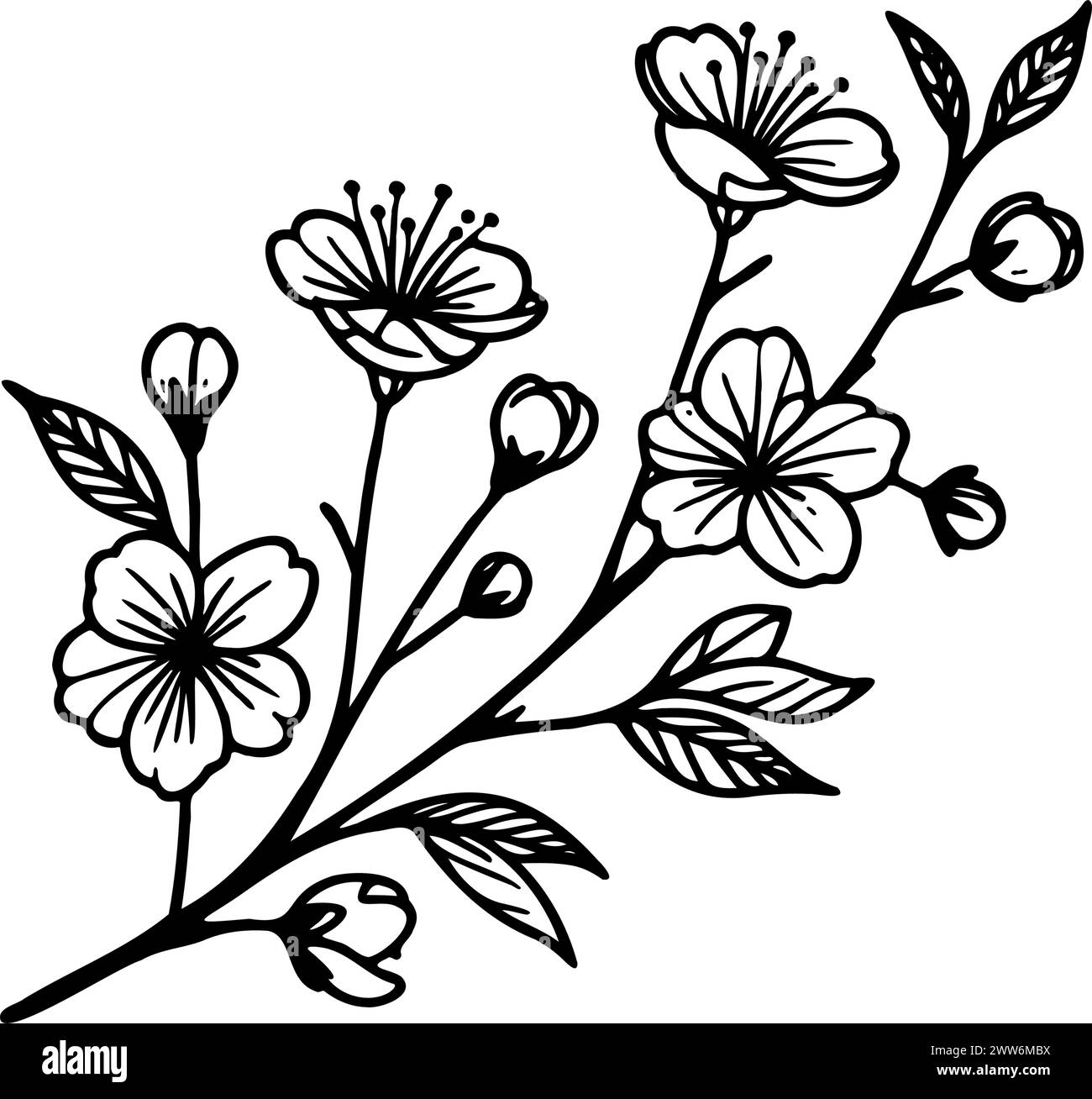 Un fiore da disegno bianco e nero con un gambo a foglia. Il disegno è un albero di ciliegio in fiore, è disegnato a mano, non ai Illustrazione Vettoriale