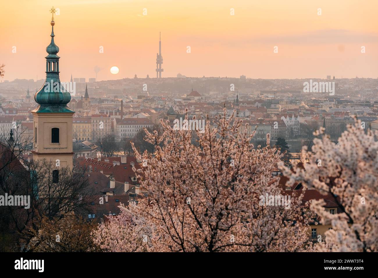 Rami di alberi in fiore rosa e tetti rossi all'alba a Praga Foto Stock