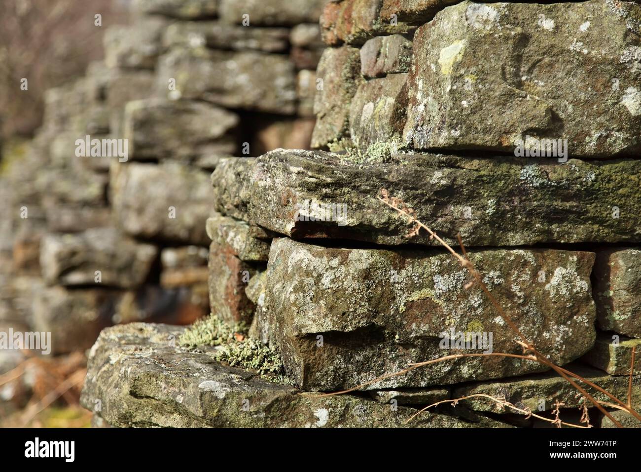 Pareti di miniere di piombo abbandonate presso la miniera Sir Francis Mine, Gunnerside, Swaledale, Yorkshire, Regno Unito. Foto Stock