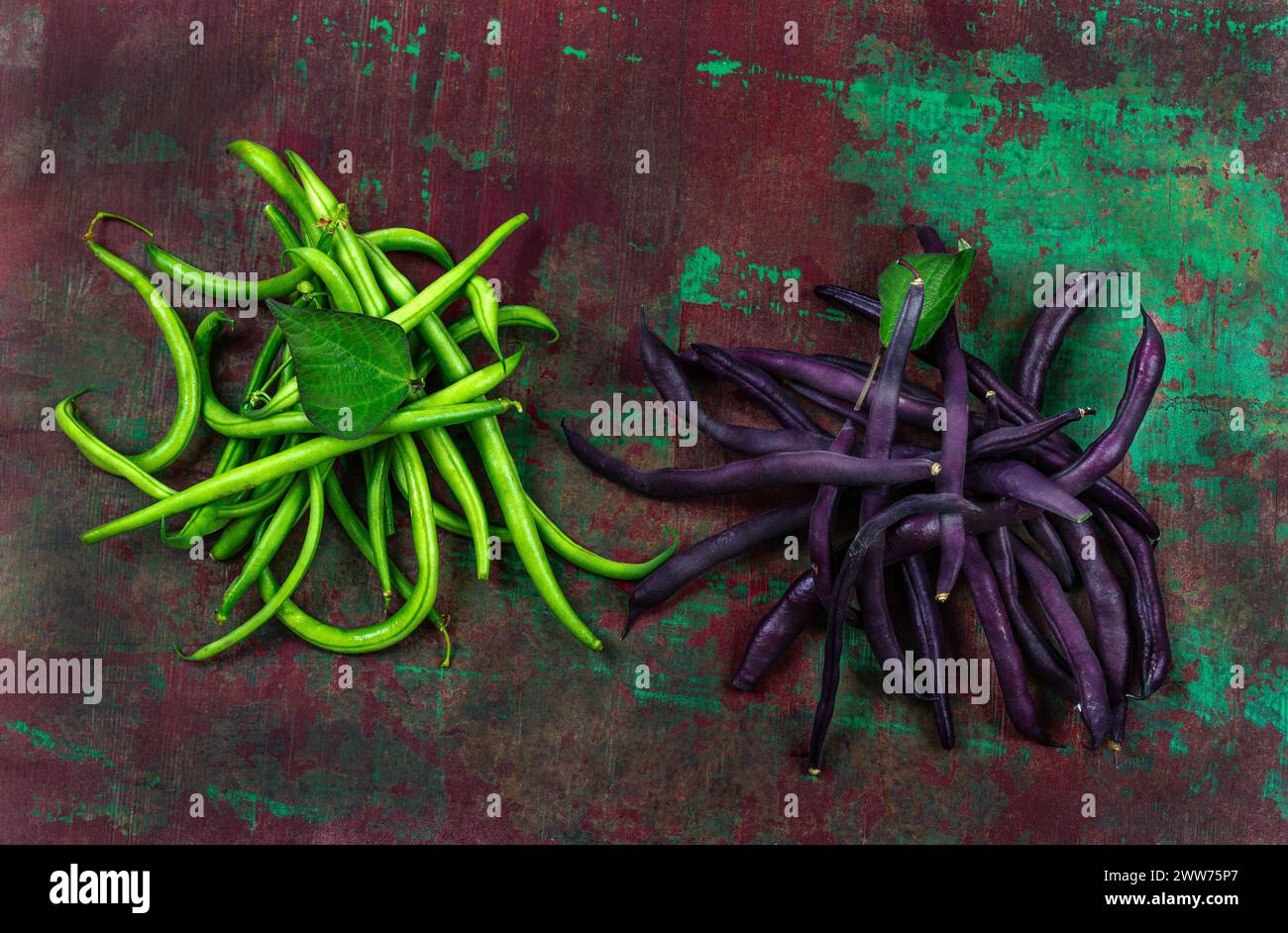 Fagioli verdi e fagioli di Melissa (Phaseolus vulgaris) su un tavolo. Foto Stock