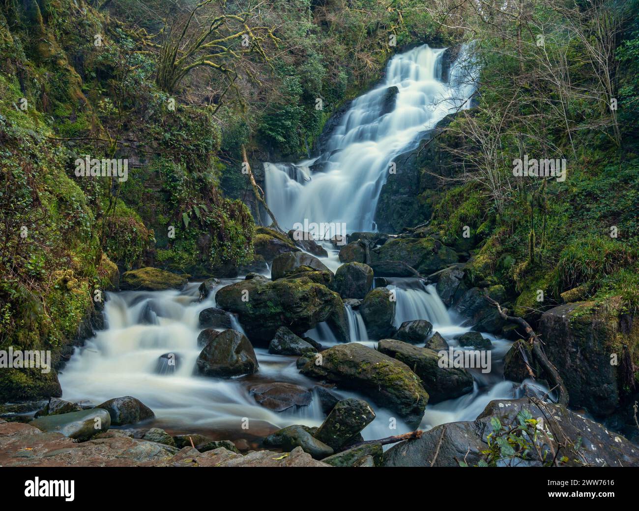 cascata effetto seta nel mezzo di una foresta Foto Stock