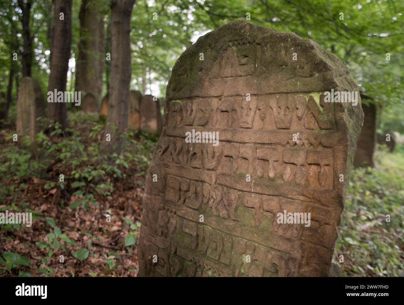 Cimitero ebraico a Nowy Wisnicz, Kirkut, Malopolska, piccola Polonia, Polonia Foto Stock