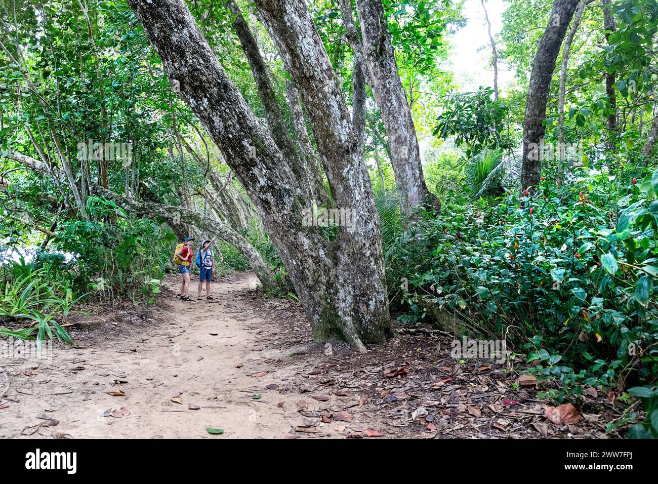 Madre e figlio turisti che esplorano il parco nazionale di Cahuita sulla costa caraibica del Panama, circondati dalla ricca biodiversità di una lussureggiante foresta tropicale. Foto Stock