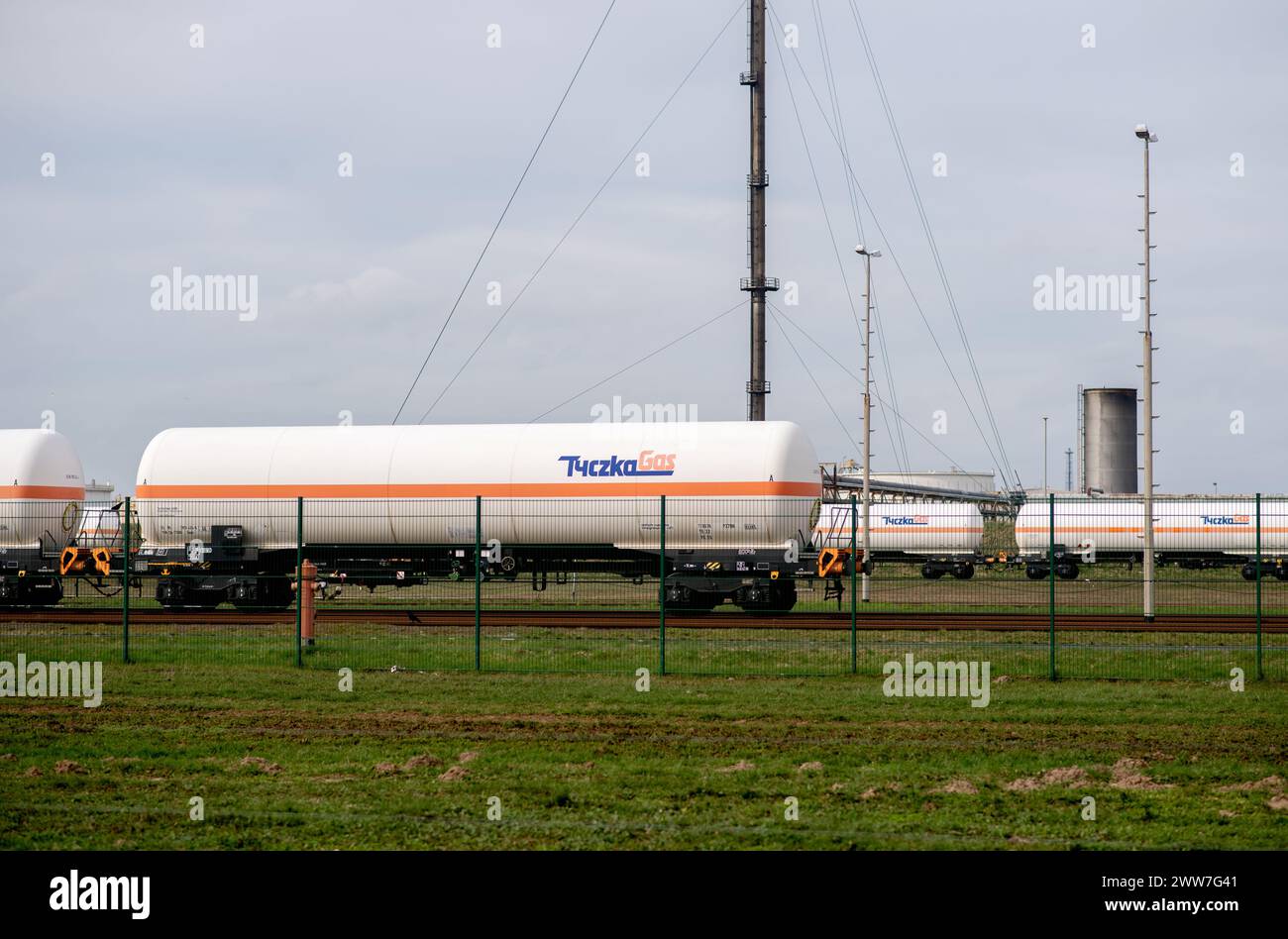 Wilhelmshaven, Germania. 14 marzo 2024. Numerosi carri cisterna si trovano sul sito di un impianto di trasbordo HES International sulla Jade Bay. La società olandese HES International importa e immagazzina petrolio greggio, diesel, benzina e GPL, nonché carburante per aeromobili per i suoi clienti. Crediti: Hauke-Christian Dittrich/dpa/Alamy Live News Foto Stock