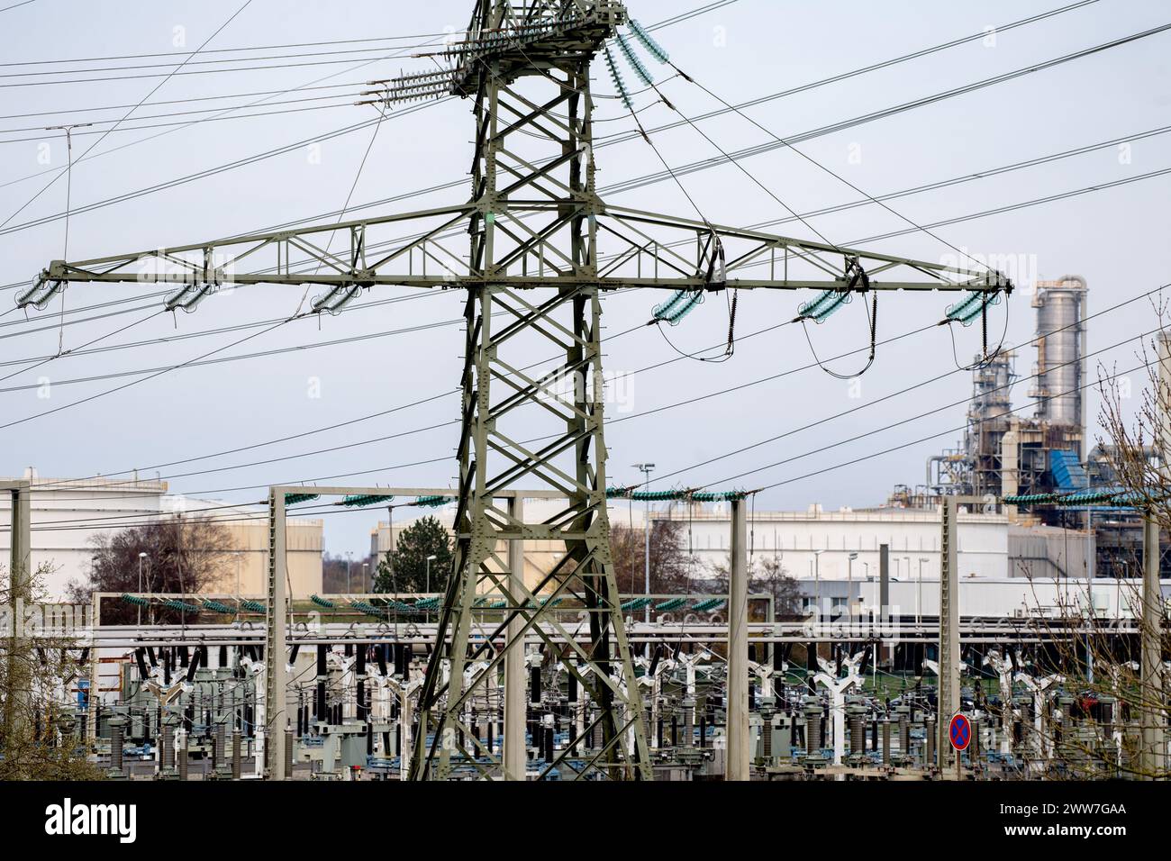 Wilhelmshaven, Germania. 14 marzo 2024. Una linea ad alta tensione conduce a una stazione di trasformazione sul sito di un impianto di trasbordo HES International sulla Jade Bay. La società olandese HES International importa e immagazzina petrolio greggio, diesel, benzina e GPL, nonché carburante per aeromobili per i suoi clienti. Crediti: Hauke-Christian Dittrich/dpa/Alamy Live News Foto Stock